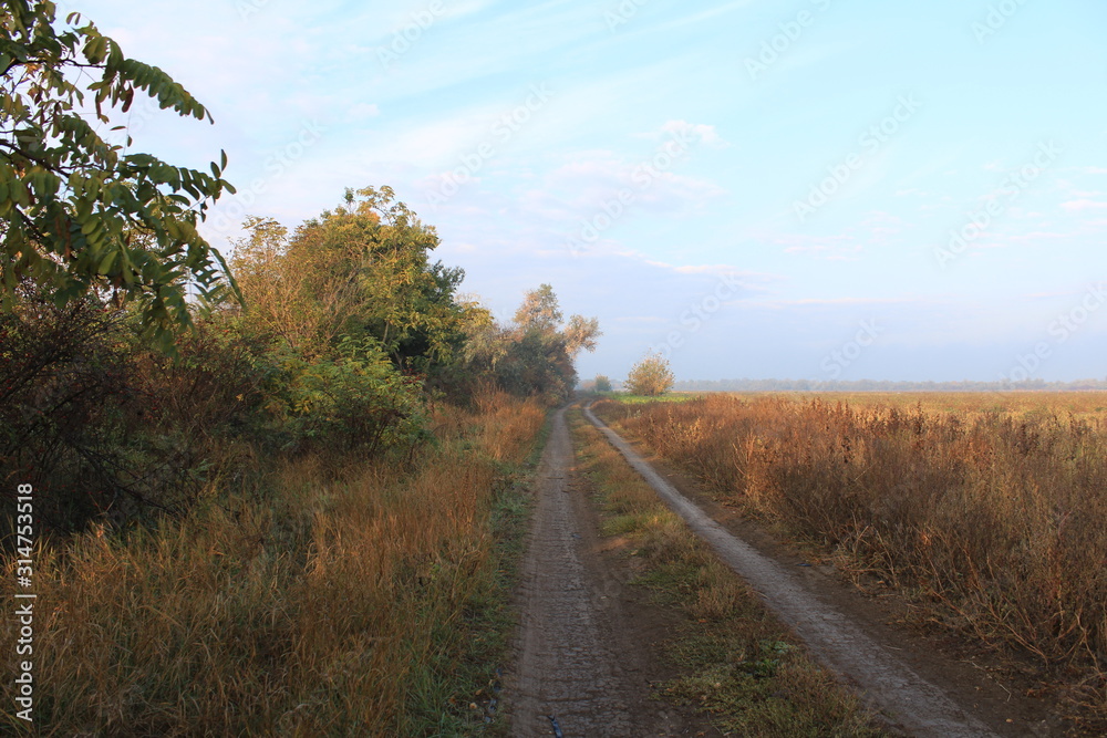 Fototapeta premium Autumn road goes far beyond the horizon