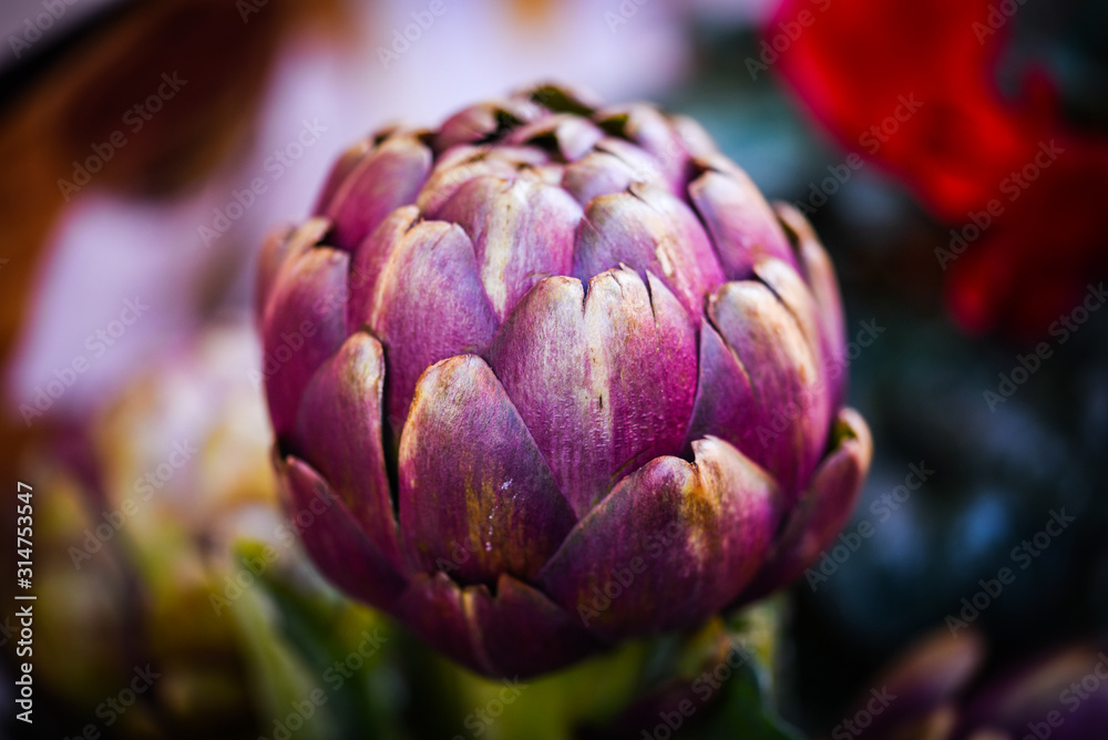 Obraz premium fresh artichoke close up view