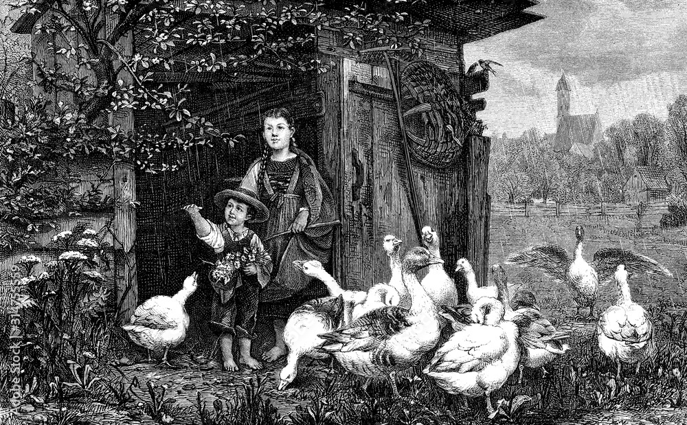 Fototapeta premium It is raining ! Girl and her small brother take shelter from the rain under the roof of a geese stable in the countryside