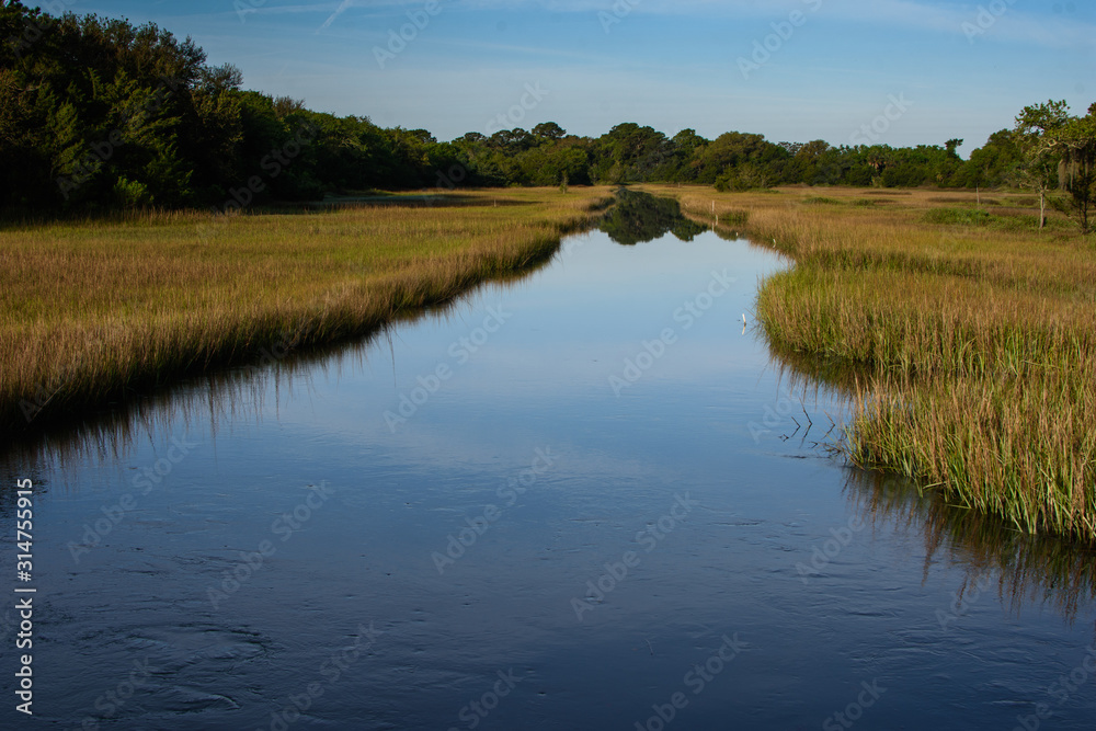 South Carolina marsh low country 