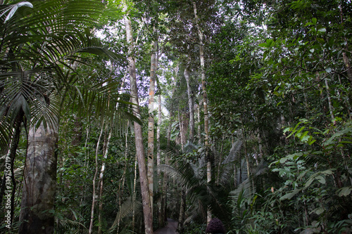 Natural Park in Porto Velho - RO Brazil