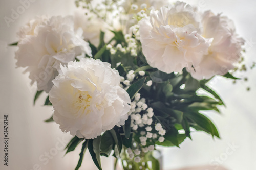 White peonies flowers in vase on white background