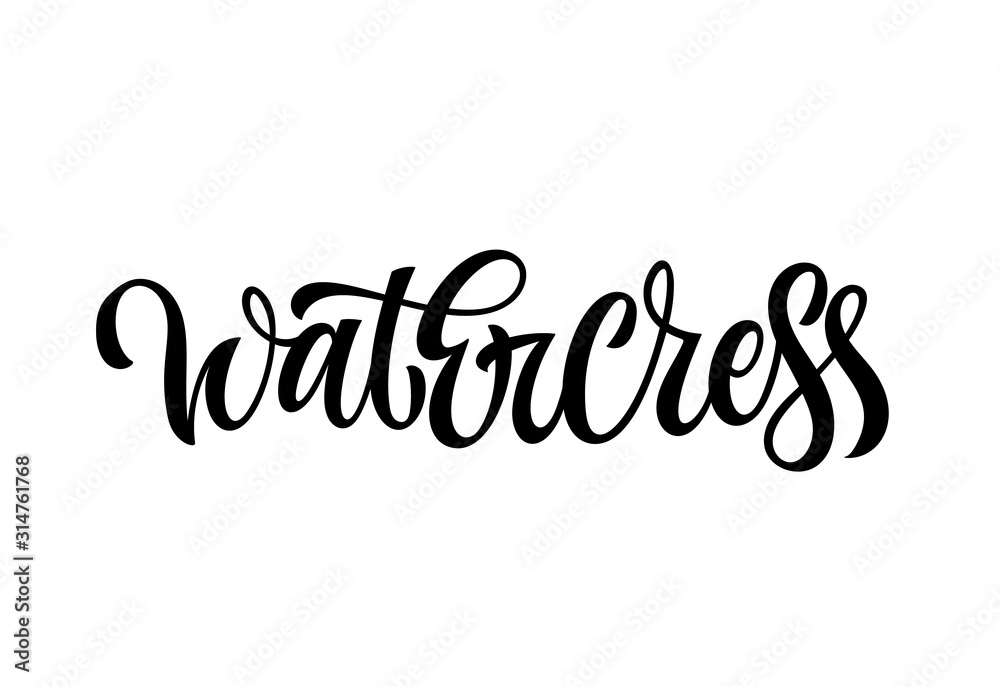 Hand drawn spice label - Watercress. Vector lettering design element. Isolated calligraphy script style word for labels, shop design, cafe decore etc