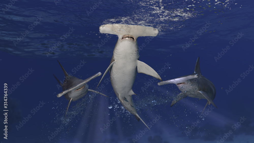3 hammerhead sharks patrolling together underwater posing and looking suspicious 3d rendering - obrazy, fototapety, plakaty 