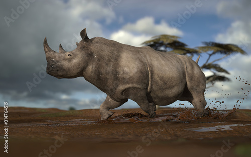 African rhino running in mud in grasslan savanna side view 3d rendering photo