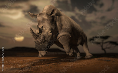 Mean and aggressive rhino running and gallopping in Africa 3d rendering