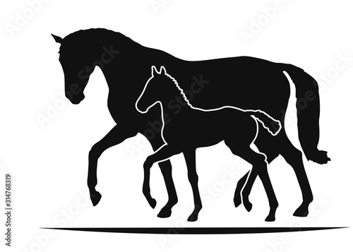 Leinwand Poster Mare and foal move together, two silhouettes