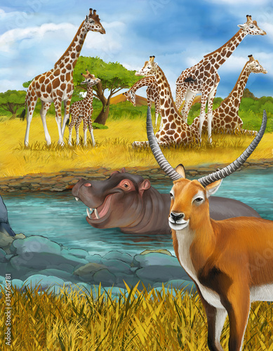 cartoon scene with hippopotamus hippo in the river near the meadow giraffes and antelope illustration for children