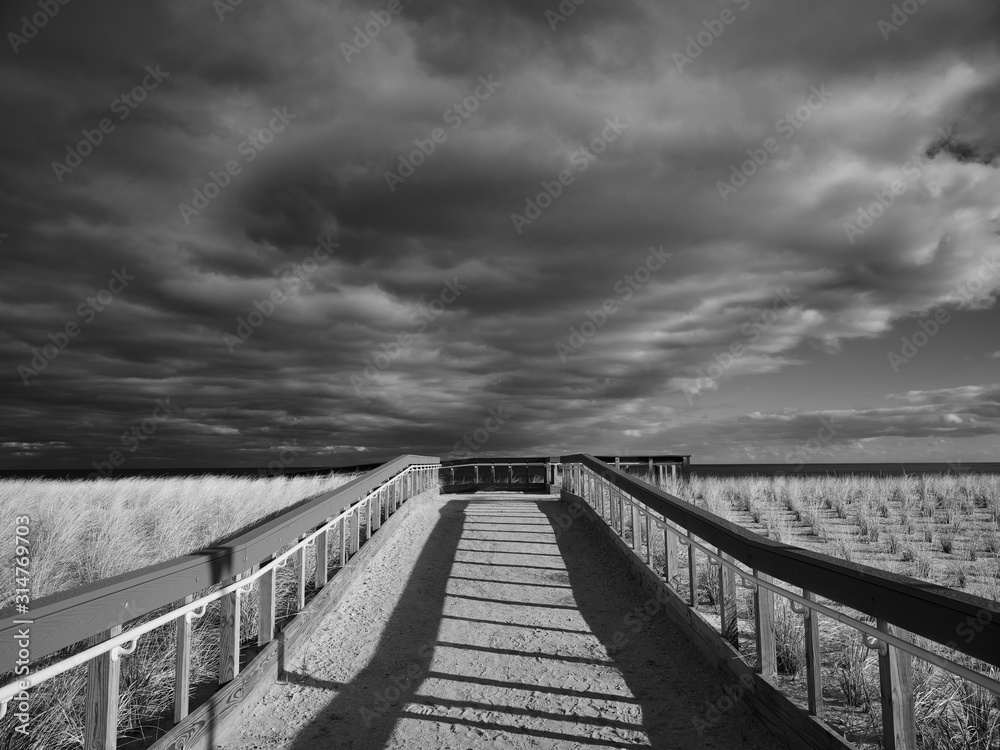 a winter afternoon over a sandy wooden boardwalk leads to a cold beach over freshly planted grasses to protect against damage to sensitive sand dunes