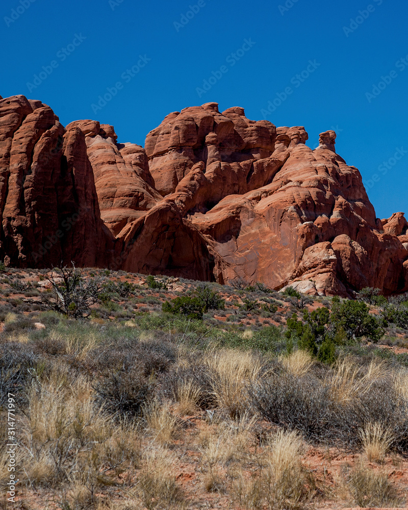 Fototapeta premium Arches National Park
