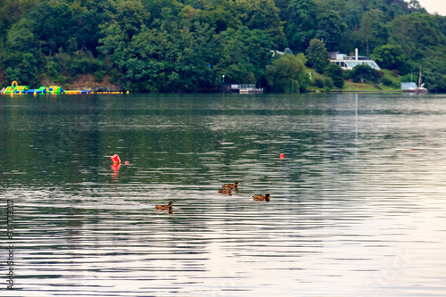 Brno Reservoir Czechia. dam is source of electrical power is popular destination for swimming, boating. Goat hill. Brno reservoir in summer, Czech Republic View Brno Reservoir lake Cloudy rainy day