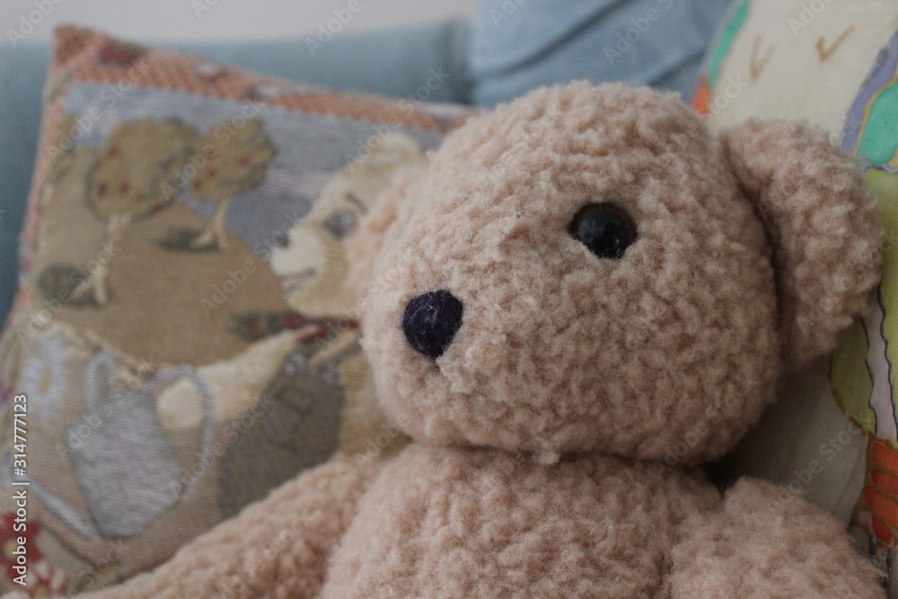 teddy bear on a background