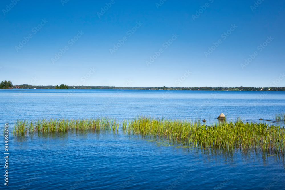 A pleasant lake on a summer day