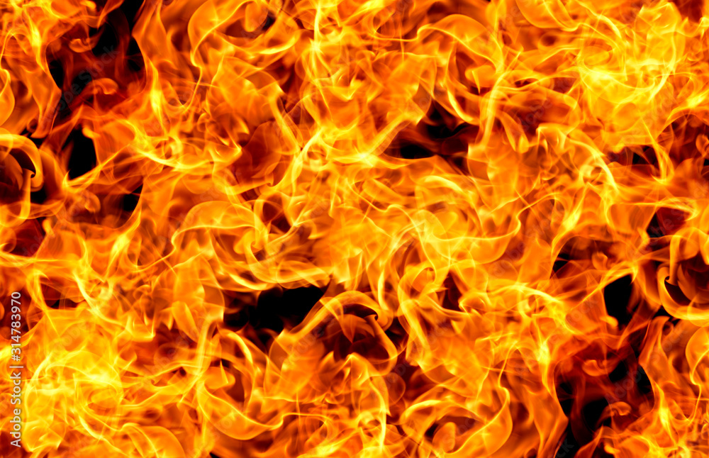 Fire flames on a black background Fire flames on a black background