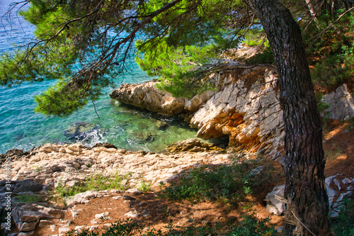 bay among the rocks