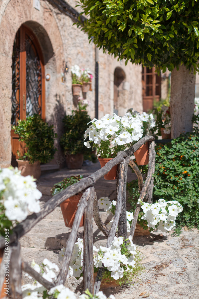 Naklejka premium Vertical photo of white violet flowers in clay pots suspended from a wooden fence. On the background doors, tree and bushes. Selective focus. Balearic Islands, Majorca. Vacation and travelling concept