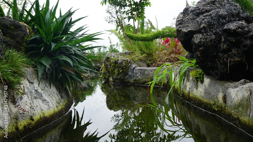 The river in the garden with beautiful water