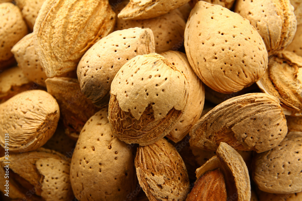 Raw almond in the shell