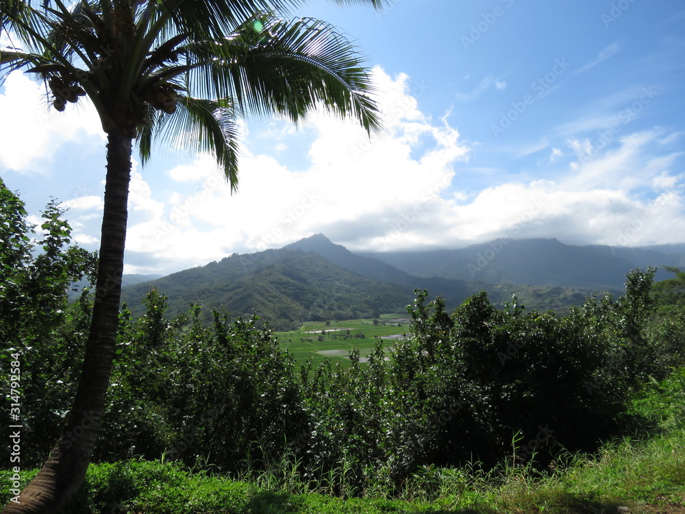 landscape, sky, nature, mountain, mountains, forest, green, clouds, blue, cloud, trees, tree, view, summer, palm, travel, hill, beautiful, sun, grass, jungle, scenic, island, tropical, valley landscape, sky, nature, mountain, mountains, forest, green, clouds, blue, cloud, trees, tree, view, summer, palm, travel, hill, beautiful, sun, grass, jungle, scenic, island, tropical, valley