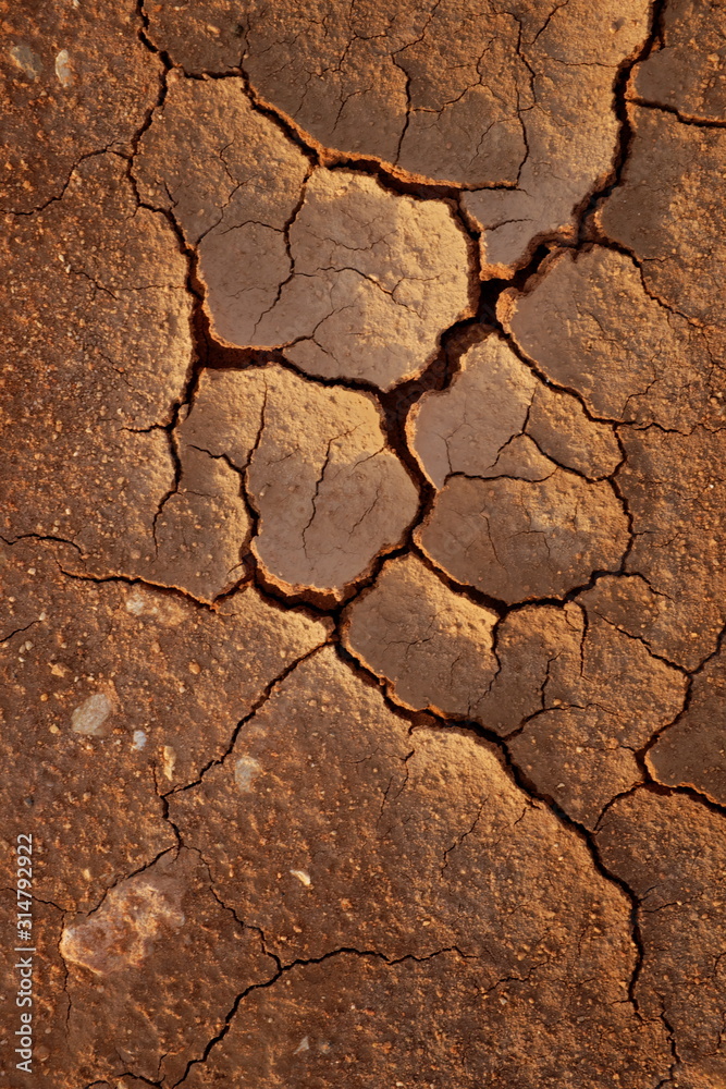 Fototapeta premium Cracked ground due to global warming and climate change. Agricultural problems and drought concept