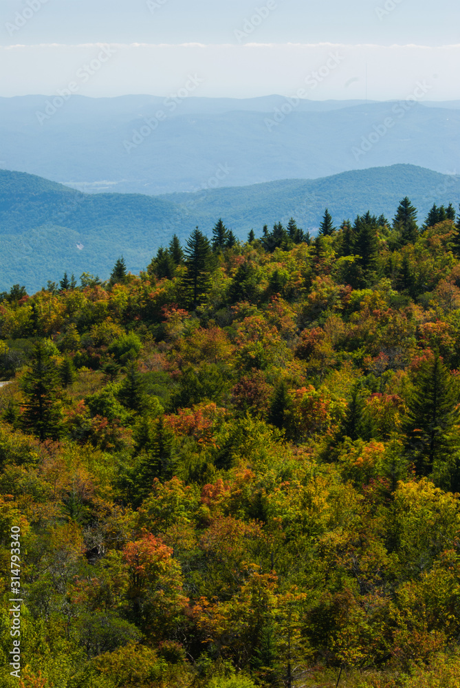 Autumn at Black Balsam, Pisgah National Forest