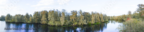 the winter landscape of florida