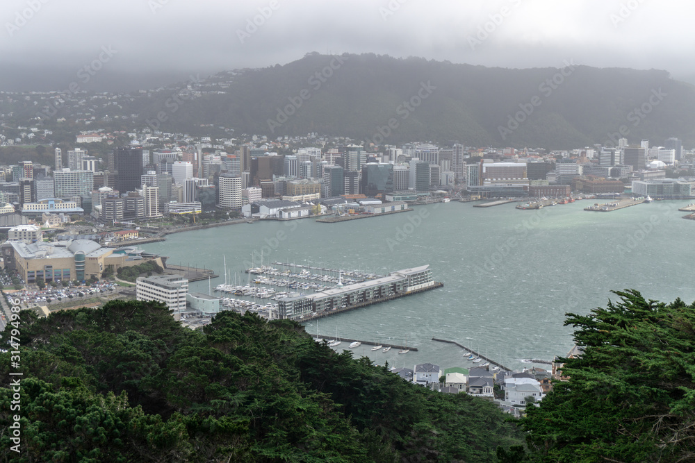 Looking down at the Wellington city from mount victoria
