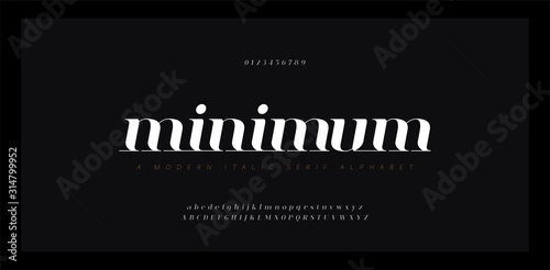 Fototapeta Elegant awesome alphabet letters italic font and number. Classic Lettering Minimal Fashion Designs. Typography fonts regular uppercase and lowercase. vector illustration
