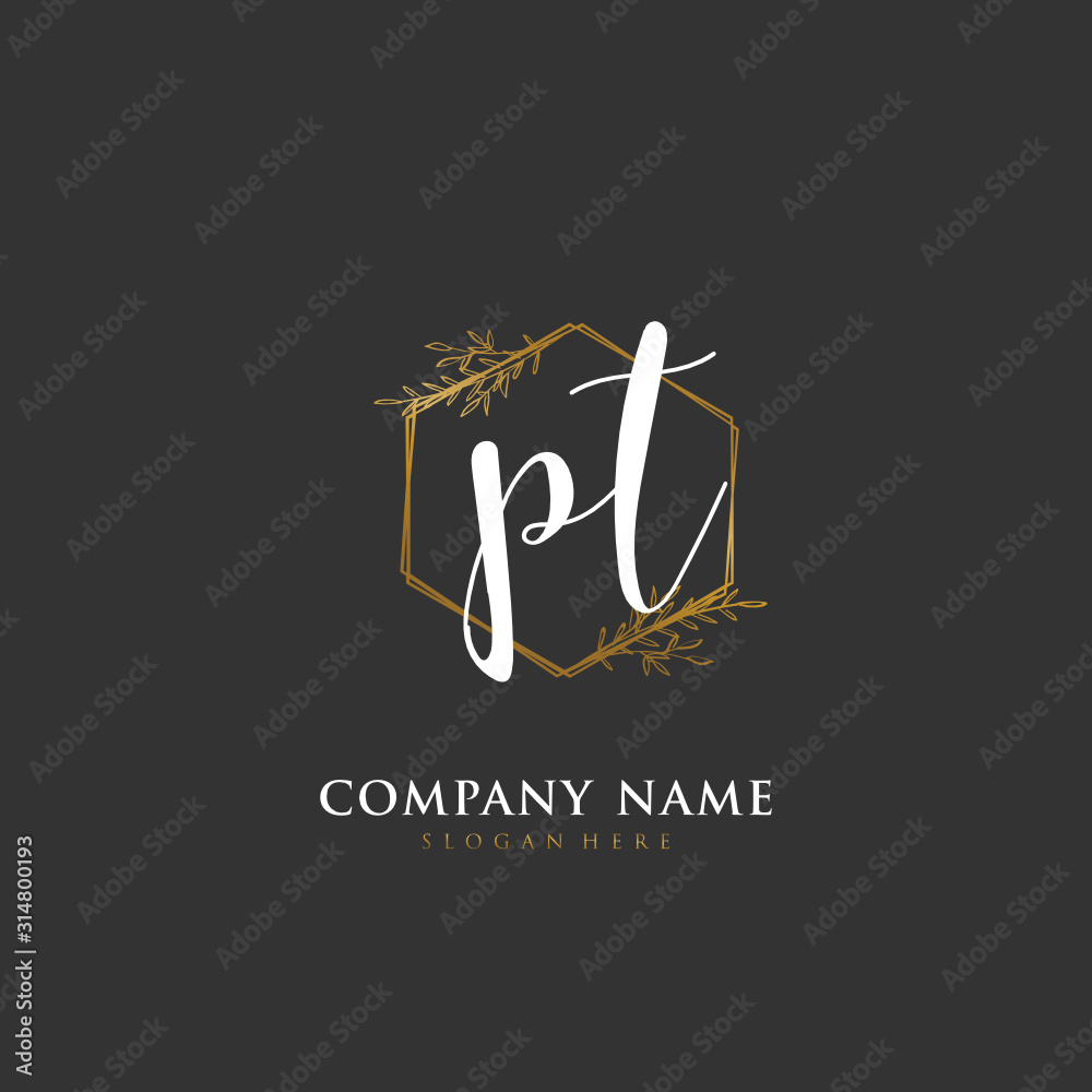 Handwritten initial letter P T PT for identity and logo. Vector logo template with handwriting and signature style.