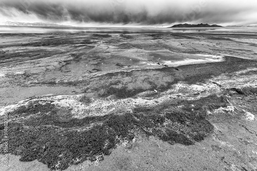 Great Salt Lake Shoreline 3