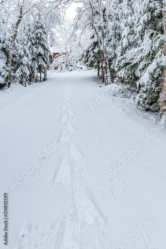 Winter driveway portrait © Roxane Bay