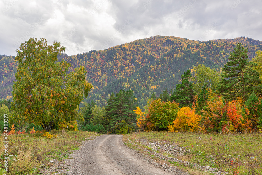 Golden autumn, dirt road in the mountains