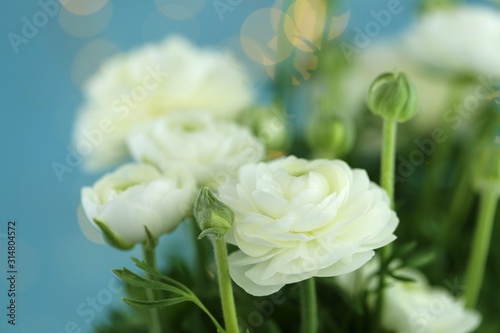 Photography Ranunculus white bouquet close-up on a blue background with golden bokeh