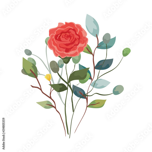 cute rose with branches and leafs natural vector illustration design