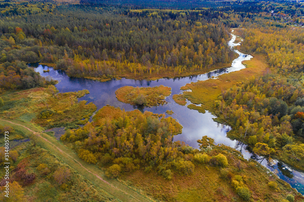 Panorama of the Izvarka river in golden autumn (aerial photography). Leningrad region, Russia