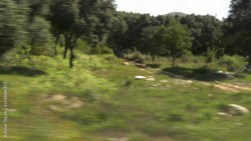 Window view from car travelling through woodland in spanish countryside Window view from car travelling through woodland in spanish countryside