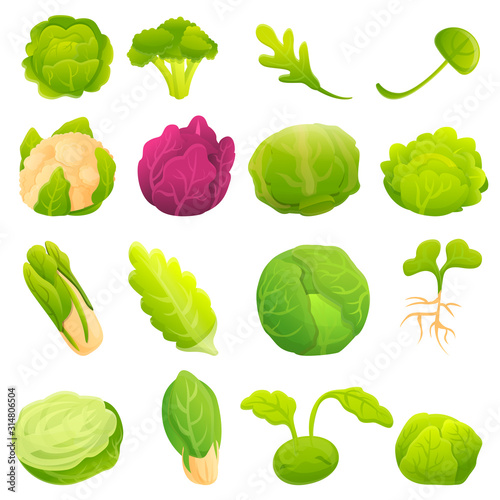 Cabbage icons set. Cartoon set of cabbage vector icons for web design