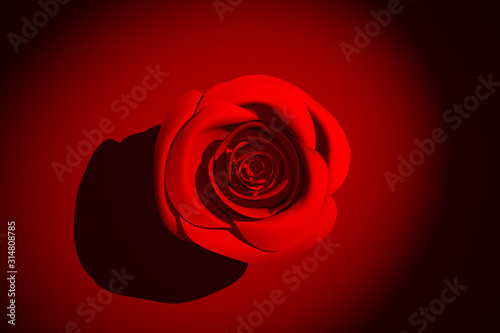 Rose flower in spotlight on red background  3D rendering