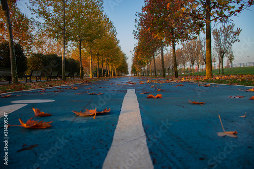 The bike path at the autumn