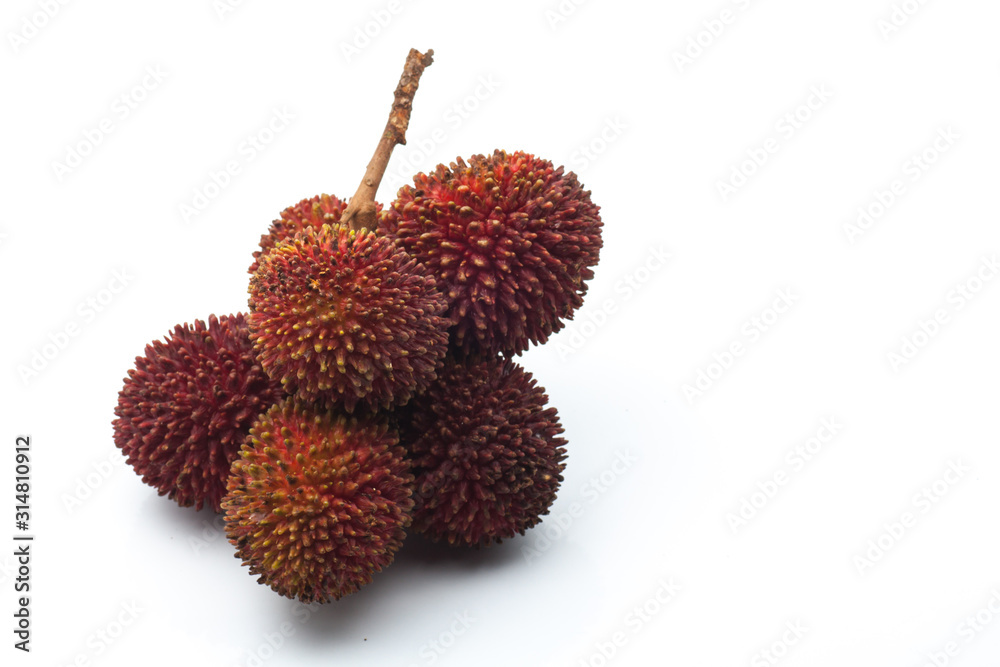 Pulasan or wild rambutan on isolated background