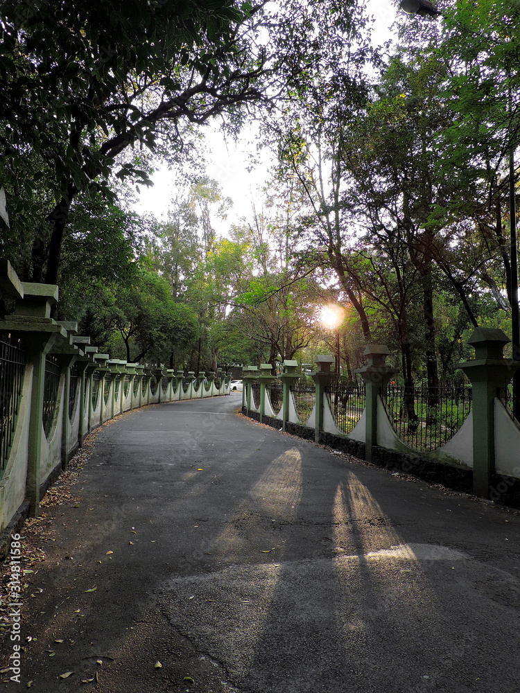 An empty road with a beautiful sunlight.