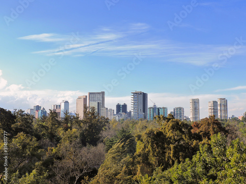 A cityscape surrounded by a forest with a blue sky 