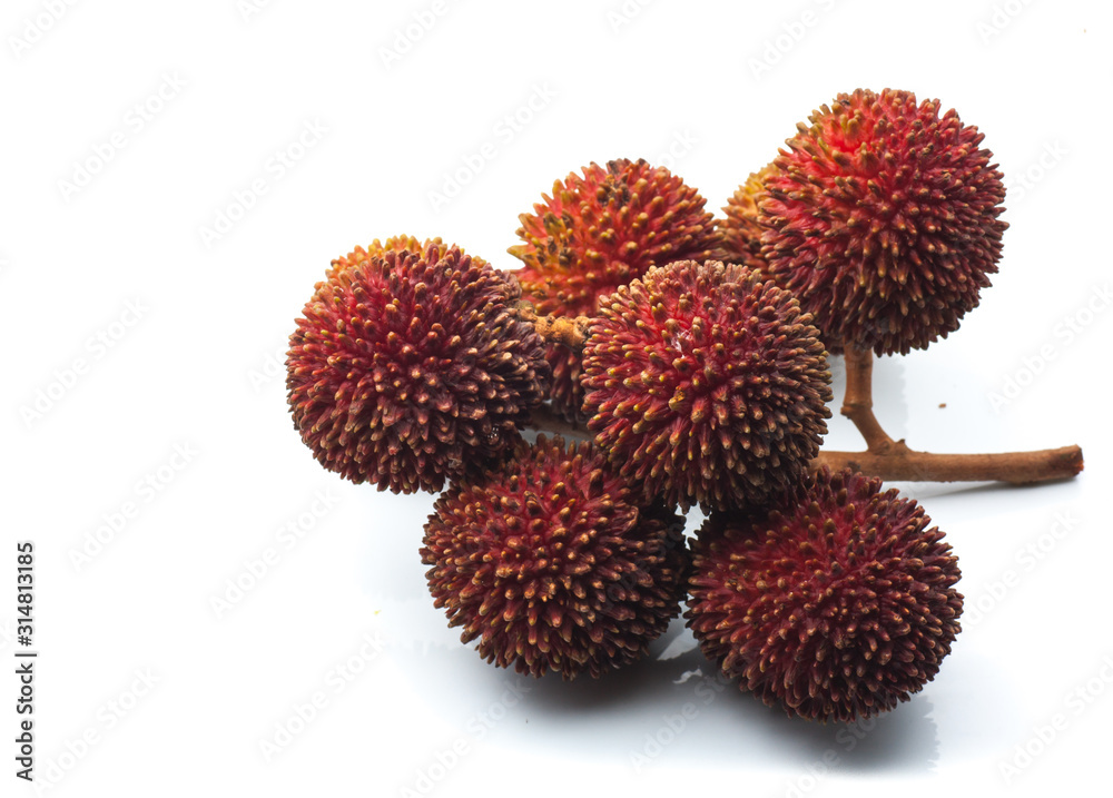 Pulasan or wild rambutan on isolated background Pulasan or wild rambutan on isolated background