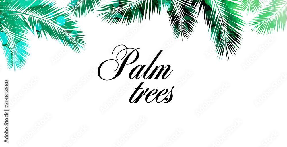 Background with palm leaves. mixed media. Vector illustration