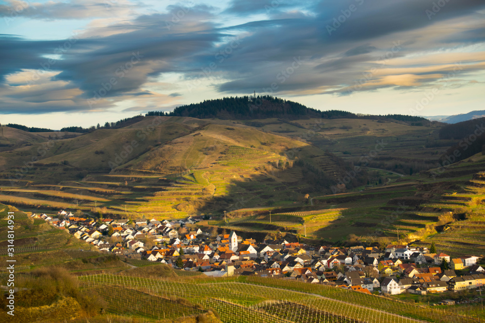 Obraz premium Blick auff Oberbergen im Kaiserstuhl von der Mondhalde