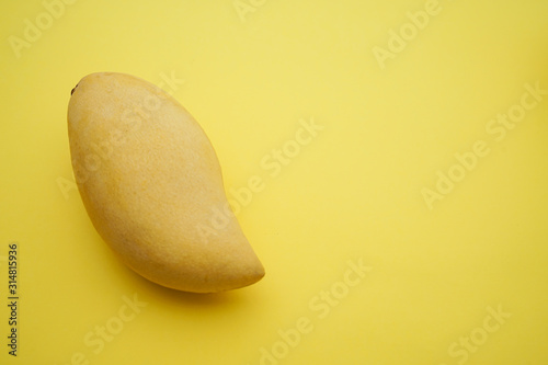 Yellow ripe mango on yellow backgound