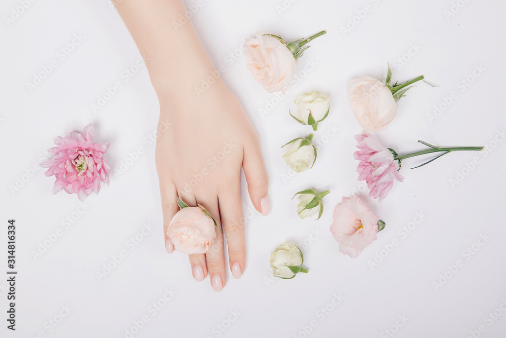 Close-up beautiful sophisticated female hands with pink flowers on white background. Concept hand care, anti-wrinkles, anti-aging cream, spa