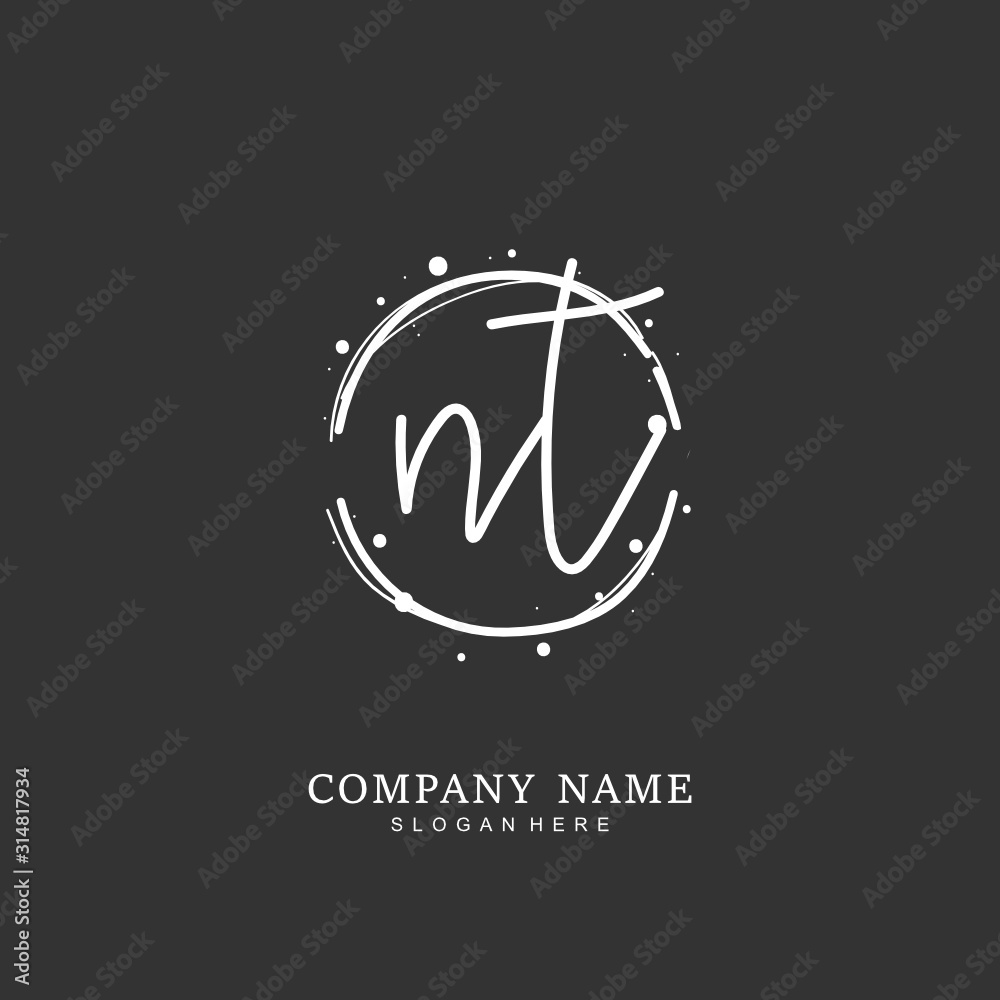 Handwritten initial letter N T NT for identity and logo. Vector logo template with handwriting and signature style. Handwritten initial letter N T NT for identity and logo. Vector logo template with handwriting and signature style.