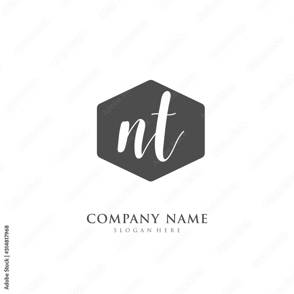 Handwritten initial letter N T NT for identity and logo. Vector logo template with handwriting and signature style. Handwritten initial letter N T NT for identity and logo. Vector logo template with handwriting and signature style.
