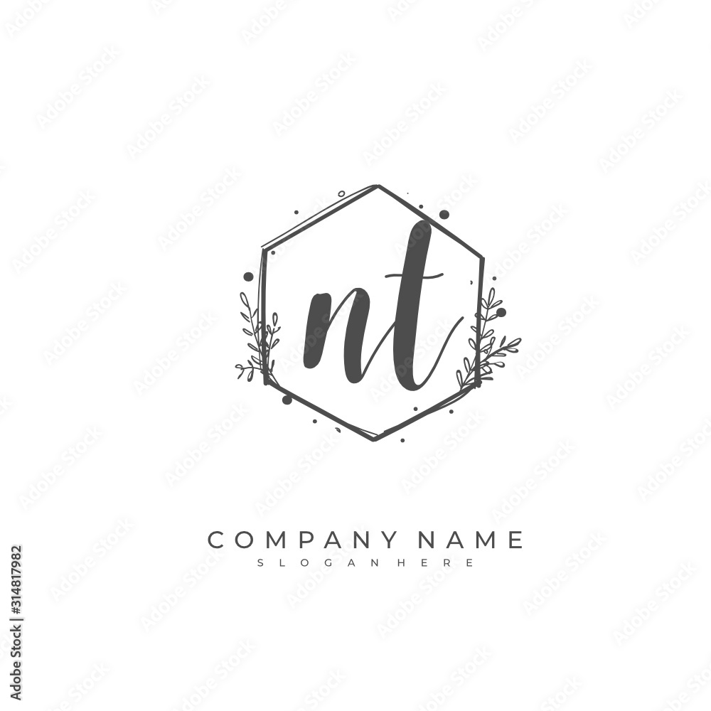 Handwritten initial letter N T NT for identity and logo. Vector logo template with handwriting and signature style.